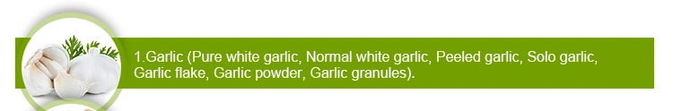 Solo Garlic From Yunnan China New Crop Single Clove, One Clove Health Nature Farm Product Strong Garlic Flavour Good Spice