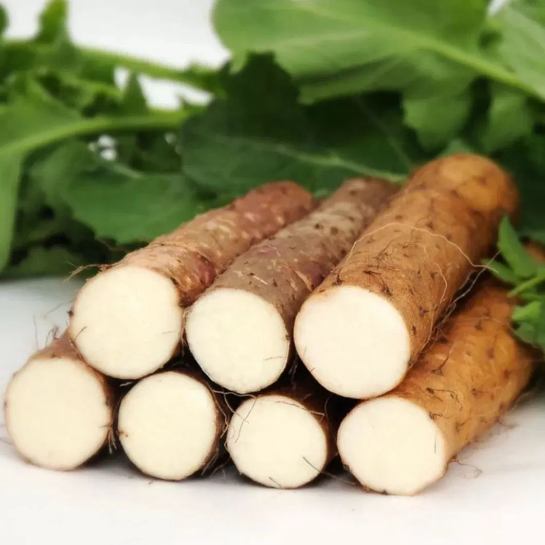 New Crop Delicious Chinese Yam Fresh Yam (Dia: 2-3cm)