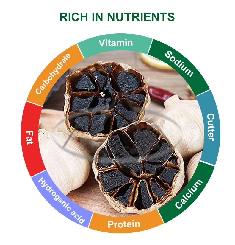 High Quality Black Garlic Whole Black Garlic Wholesales